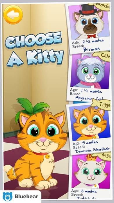 Kitty Cat Doctor App screenshot #3