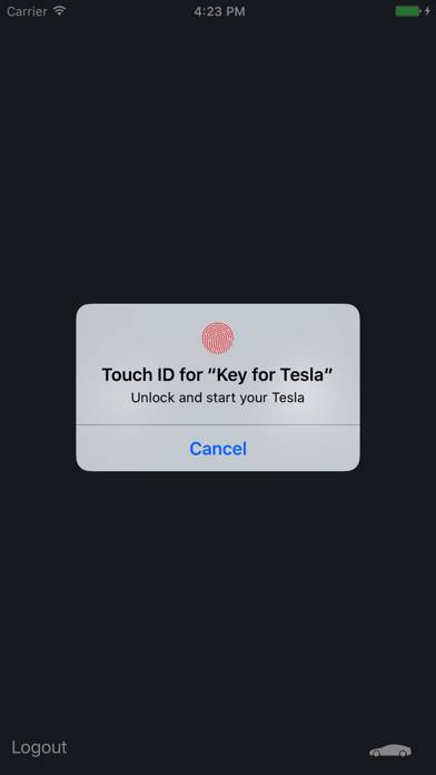 Key for Tesla Captura de pantalla de la aplicación #4
