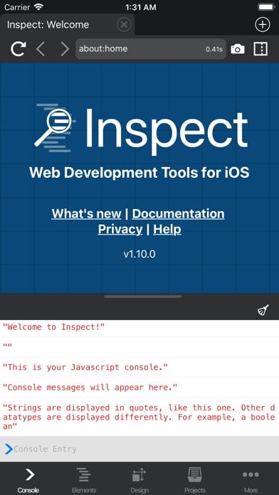 Inspect Browser Schermata dell'app #1