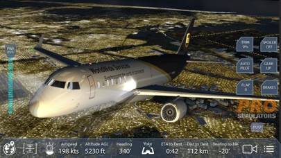 Pro Flight Simulator NY 4K Capture d'écran de l'application #2