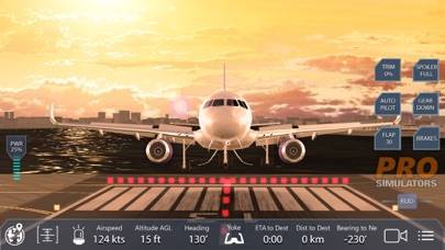 Pro Flight Simulator NY 4K Schermata dell'app #5