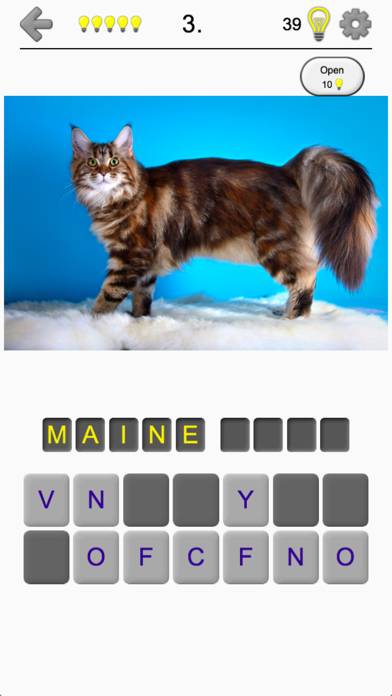 Cats Quiz Capture d'écran de l'application #1