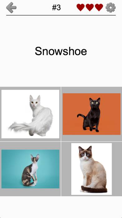 Cats Quiz Capture d'écran de l'application #2