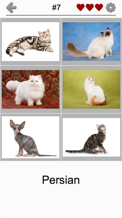 Cats Quiz Capture d'écran de l'application #4