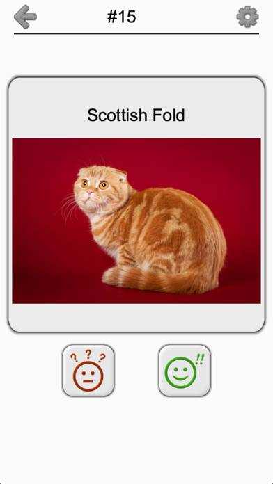 Cats Quiz Capture d'écran de l'application #5