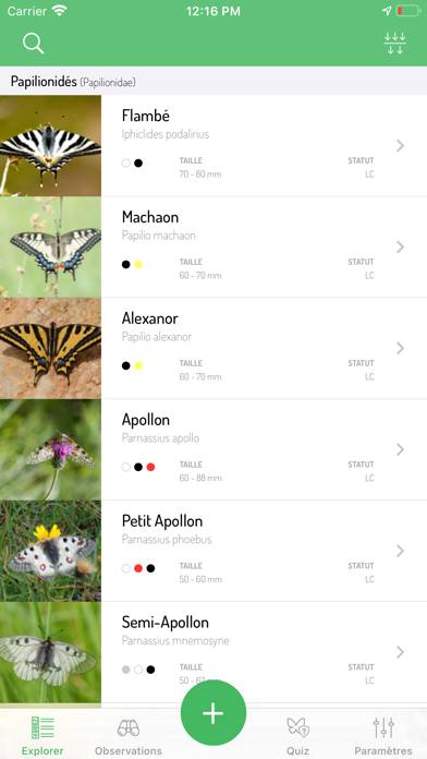 Papillons d'Europe captura de pantalla