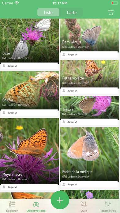 Mariposas de Europa Captura de pantalla de la aplicación #3