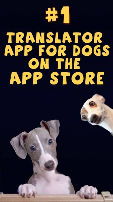 Dog Translator: Game For Dogs Capture d'écran de l'application #4