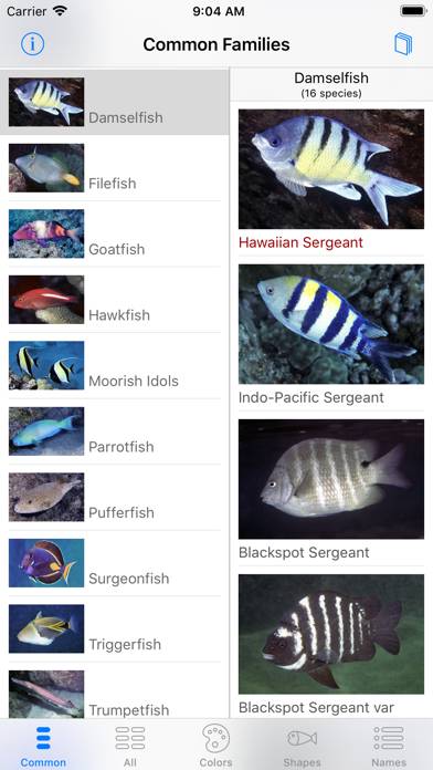 Snorkel Fish Hawaii for iPhone App screenshot #5