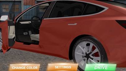Model 3 Test Drive Schermata dell'app #3