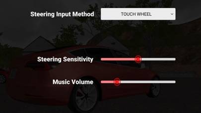 Model 3 Test Drive Captura de pantalla de la aplicación #5