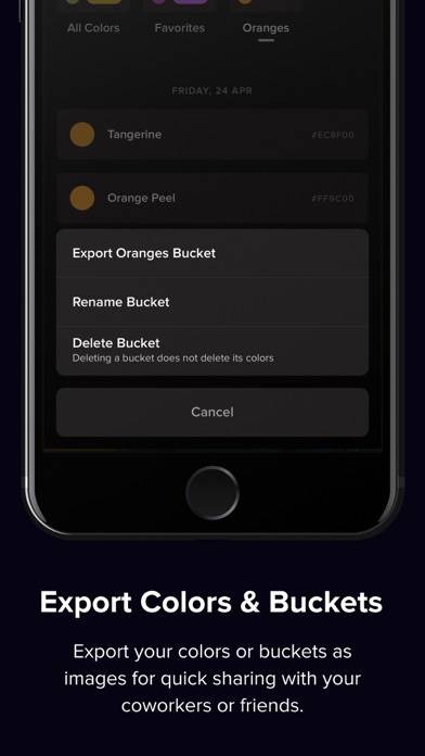 Cone: Color Picker & Pantone Captura de pantalla de la aplicación #5