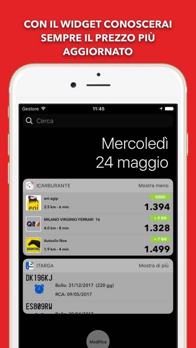 ICarburante Pro App screenshot #5