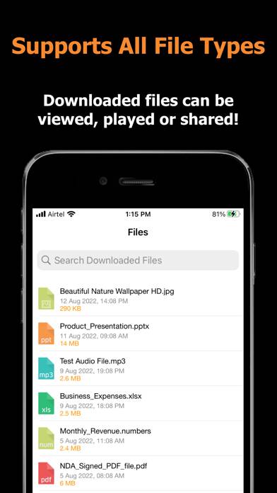 Blaze : Browser & File Manager App skärmdump #3