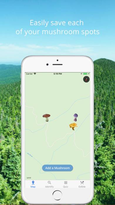 Mushroom Identificator App-Screenshot #1