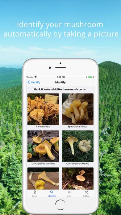 Mushroom Identificator App-Screenshot #2