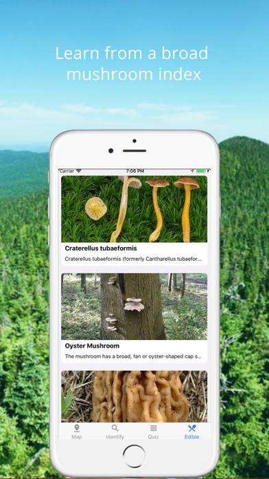 Mushroom Identificator App-Screenshot #3