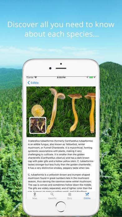 Mushroom Identificator Capture d'écran de l'application #4