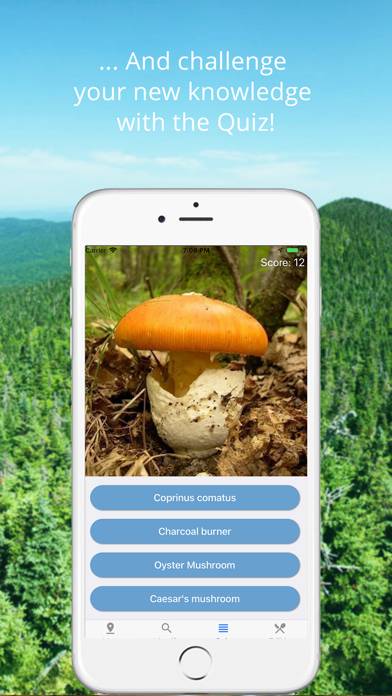 Mushroom Identificator Capture d'écran de l'application #5
