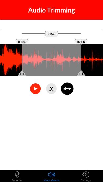 Voice Recorder & Audio Memo plus Captura de pantalla de la aplicación #3