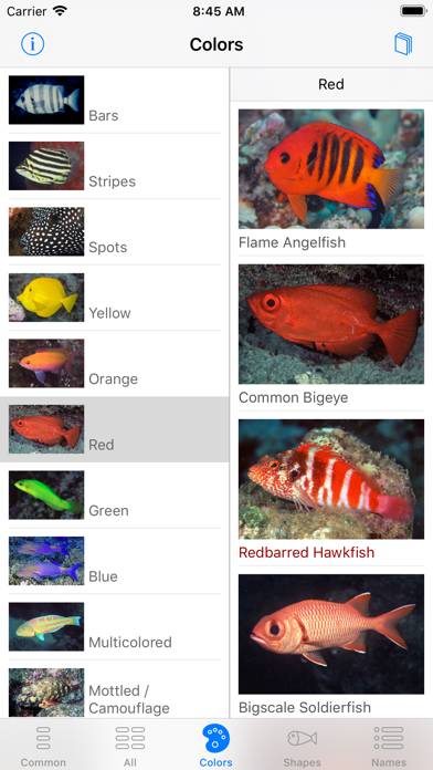 Scuba Fish Hawaii capture d'écran
