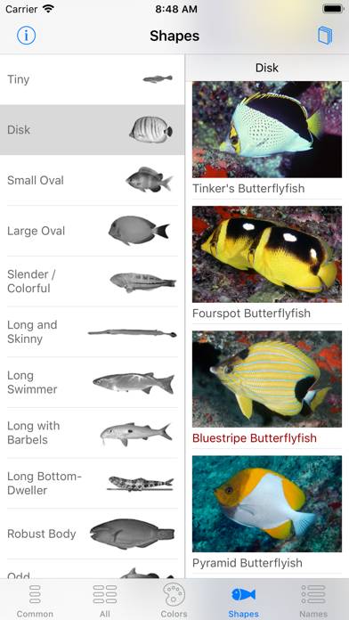 Scuba Fish Hawaii App screenshot