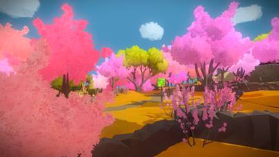 The Witness captura de pantalla