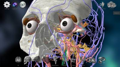 3D解剖学アトラス:iRis skärmdump