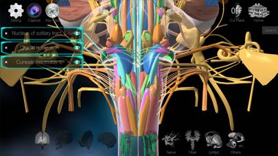 3D解剖学アトラス:iRis App skärmdump
