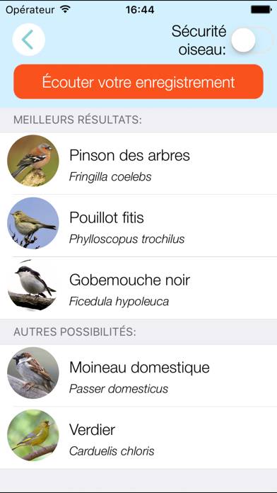 CuiCuiMatique chants d'oiseaux App screenshot #3