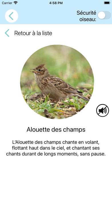 CuiCuiMatique chants d'oiseaux Captura de pantalla de la aplicación #6