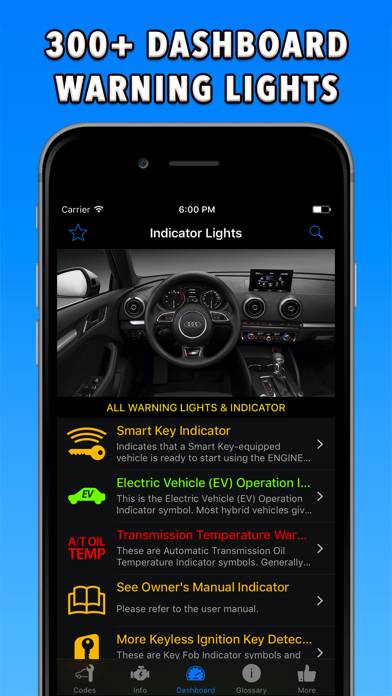 OBD-2 Audi Captura de pantalla de la aplicación #2