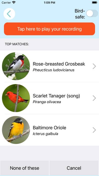 ChirpOMatic Bird Song ID - USA