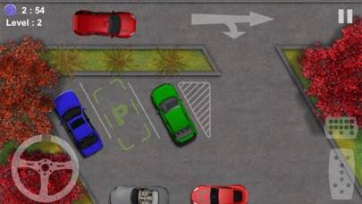 Parking-Driving Test Schermata dell'app #1