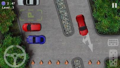 Parking-Driving Test schermata del gioco