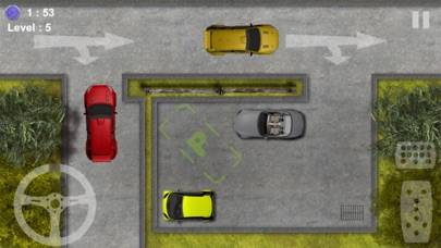 Parking-Driving Test schermata del gioco