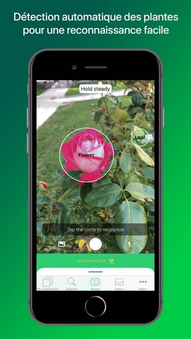PlantSnap Pro: Identify Plants Captura de pantalla de la aplicación #2