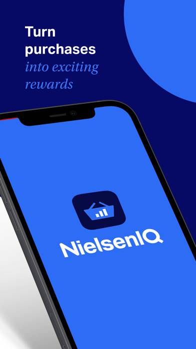 NielsenIQ Consumer Panel Bildschirmfoto
