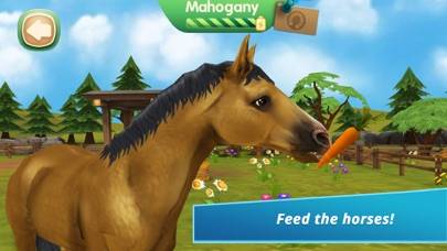 HorseHotel Premium Captura de pantalla de la aplicación #2