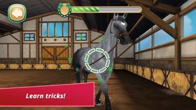 HorseHotel Premium App screenshot #4
