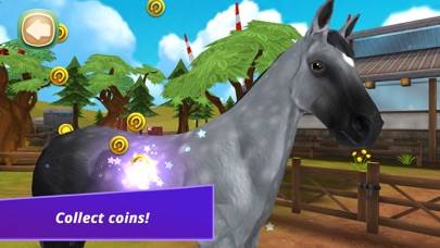 HorseHotel Premium App screenshot #6