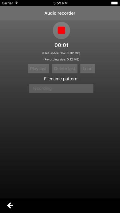Music Speed Changer Pro 2 Captura de pantalla de la aplicación #5