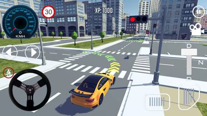 Driving School 3D Capture d'écran de l'application #4