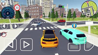 Driving School 3D Capture d'écran de l'application #6