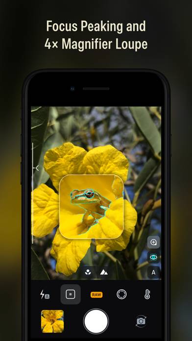 Camera M Schermata dell'app #4