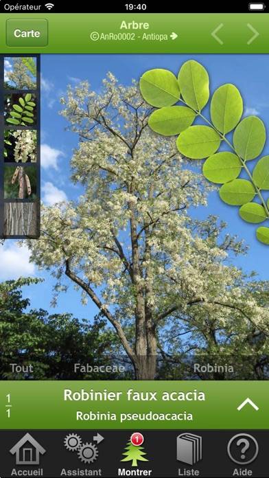 Trees & shrubs App screenshot #2