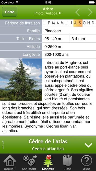 Trees & shrubs App screenshot