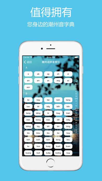 潮州音字典 Capture d'écran de l'application