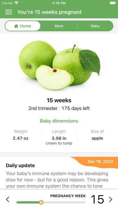 Pregnancy App. App screenshot #1