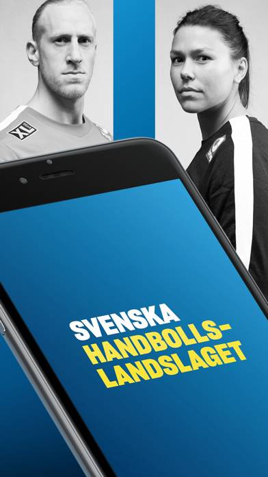 Gameday - Handbollslandslaget skärmdump